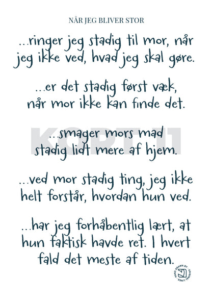 SKATTEÆSKEN
